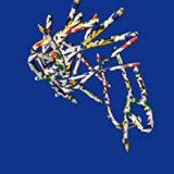 BERGSONIST BERGSONIST