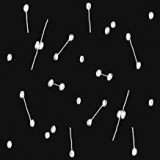 BRIKHA ARIL BRIKHA ARIL