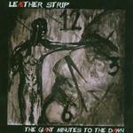 LEAETHER STRIP LEAETHER STRIP
