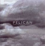 PELICAN PELICAN