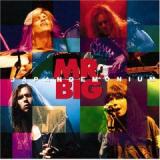 MR. BIG MR. BIG