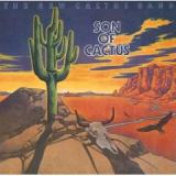 NEW CACTUS BAND