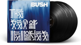 BUSH BUSH