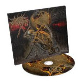 CATTLE DECAPITATION
