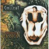 THE GALLERY THE GALLERY