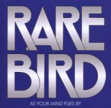 RARE BIRD