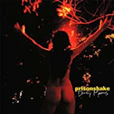 PRISONSHAKE