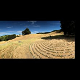 JOHNSON ERIC JOHNSON ERIC