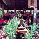 MICKEY GUITAR & HAGA KAZUTAKA