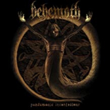 BEHEMOTH