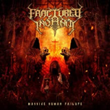 FRACTURED INSANITY
