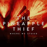 PINEAPPLE THIEF