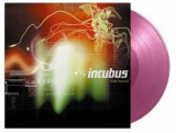 INCUBUS