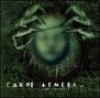 CARPE TENEBRUM