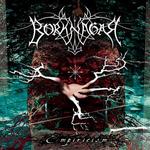 BORKNAGAR
