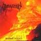 DAMNATION (POL)
