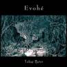 EVOH�
