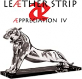 LEAETHER STRIP LEAETHER STRIP