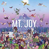 MT. JOY