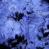 KILL YOUR BOYFRIEND KILL YOUR BOYFRIEND