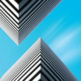 SNOW PALMS SNOW PALMS