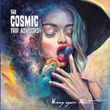 COSMIC TRIP ADVISORS