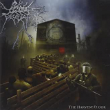 CATTLE DECAPITATION
