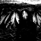 STAPLETON SUZIE STAPLETON SUZIE