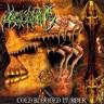 OBSCENITY OBSCENITY