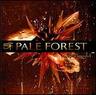 PALE FOREST