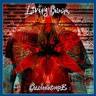 LIVING COLOUR LIVING COLOUR