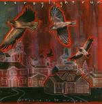 STRAYLIGHT RUN STRAYLIGHT RUN