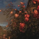 BENCE JOHN BENCE JOHN