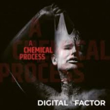 DIGITAL FACTOR