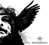 SPLENDIDULA SPLENDIDULA