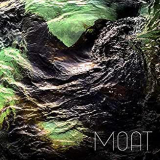 MOAT