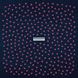 WEDDING PRESENT WEDDING PRESENT