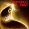 PERFECT RAT PERFECT RAT