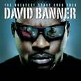 BANNER DAVID BANNER DAVID