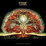 CYNIC