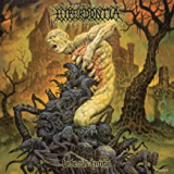 HYPERDONTIA