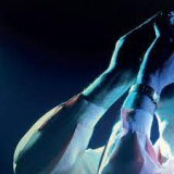 WARM GRAVES WARM GRAVES