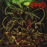 GOREBAG GOREBAG