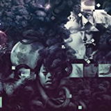 VILDHJARTA VILDHJARTA