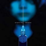 PORCUPINE TREE