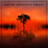 ELECTRO COMPULSIVE THERAPY ELECTRO COMPULSIVE THERAPY