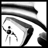 ERDMANN CARL ERDMANN CARL