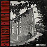 FENDER SAM FENDER SAM