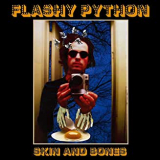 FLASHY PYTHON