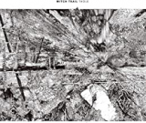 WITCH TRAIL WITCH TRAIL